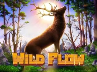 Wild Flow game thumbnail
