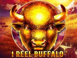 1 Reel Buffalo game thumbnail